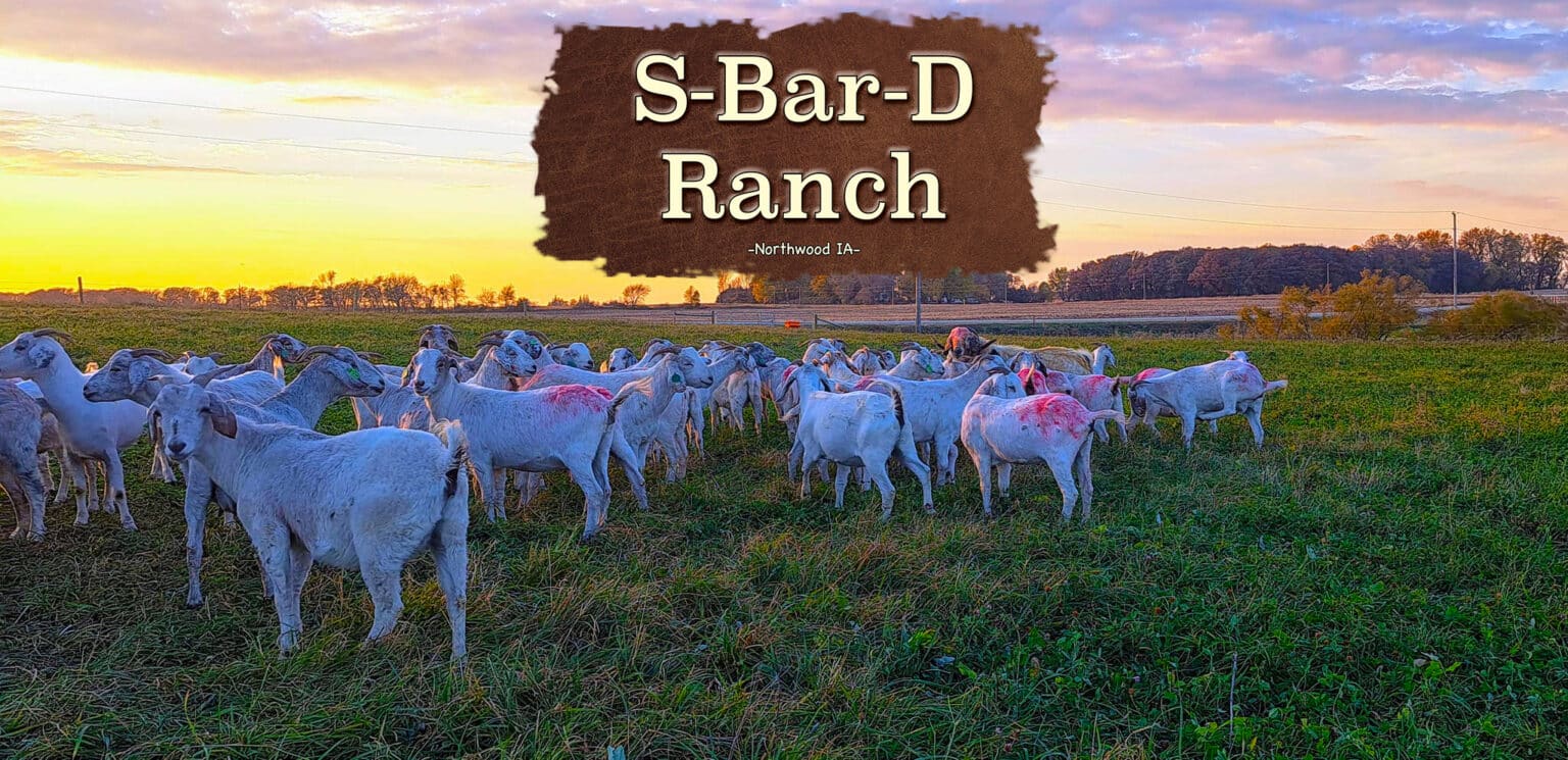 S-Bar-D Ranch Savannas